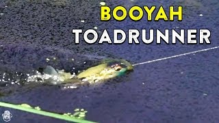 how to jig a topwater frog