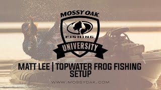 best topwater frog for bass fishing